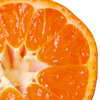 Аватар для OrangeHappines