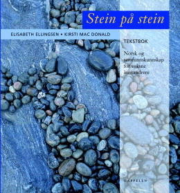 Ellingsen E., Mac Donald K. - Stein pa Stein (tekstbok+arbeidsbok+AudioCD) / Камень на камень (учебник, рабочая тетрадь, аудио)