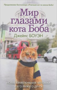 Джеймс Боуэн - Мир глазами кота Боба. Новые приключения человека и его рыжего друга