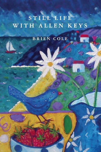 Brien Cole - Still Life with Allen Keys